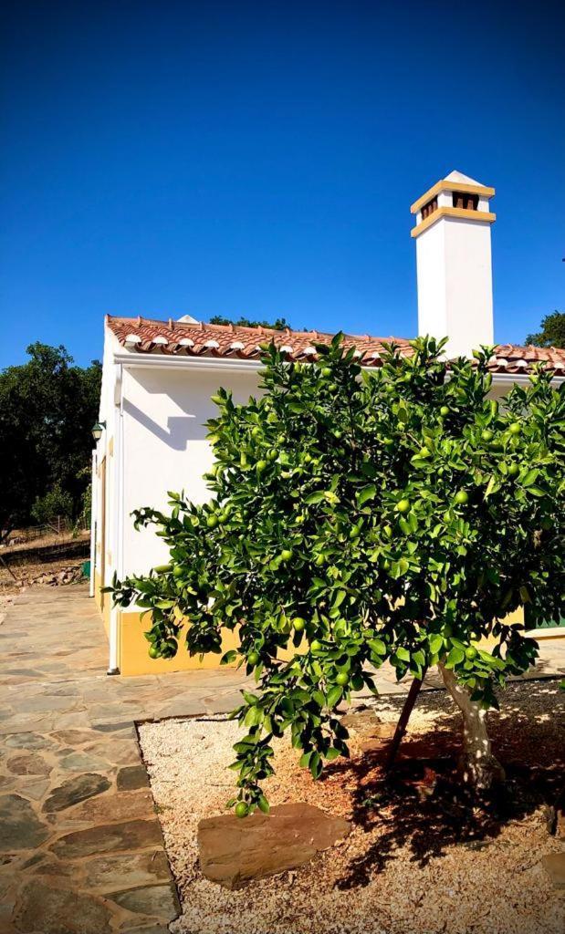 Villa Casa Do Forno Evora Retreat Redondo Exterior foto